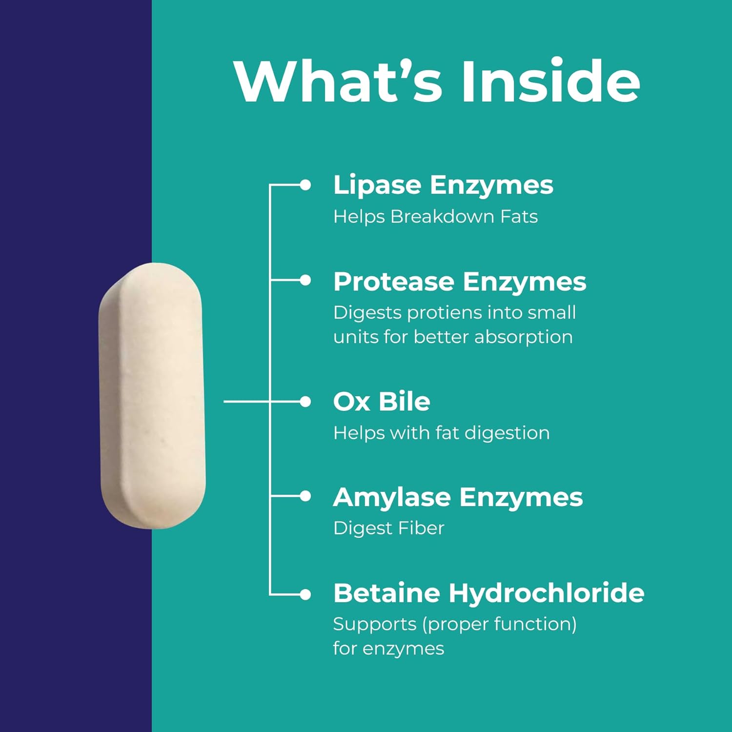 Digestive Enzymes With Ox Bile - Supplements For No Gallbladder - Helps Digest Meals Small Or Large - Including Hcl - Pepsin - Papain & Bromelain - Purified Bile Salts - Gallbladder Support 60Ct : Health & Household