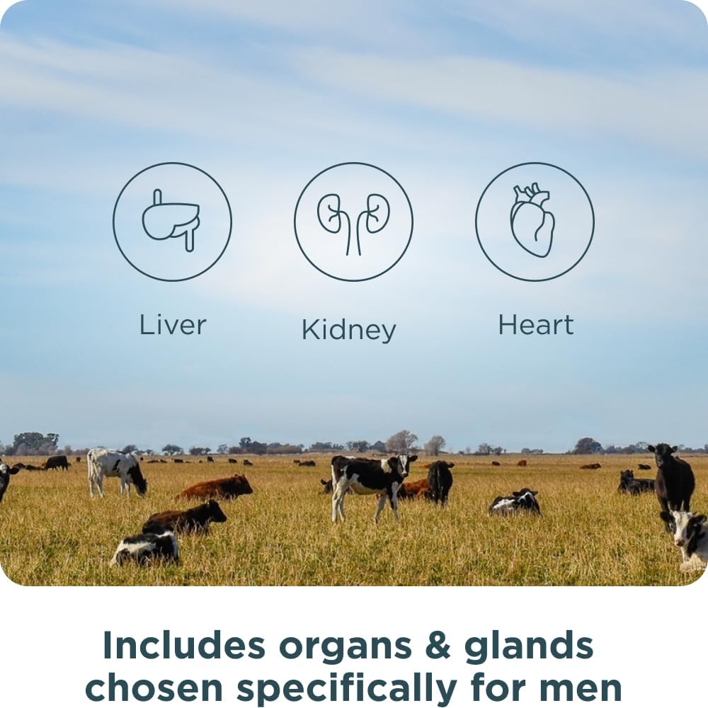 Ancient Nutrition Organ Supplements for Men, Once Daily Grass-Fed and Wild Organ Complex Capsules, Liver, Prostate, Pancreas Supports Male Performance, Healthy Aging, 30 Ct : Health & Household