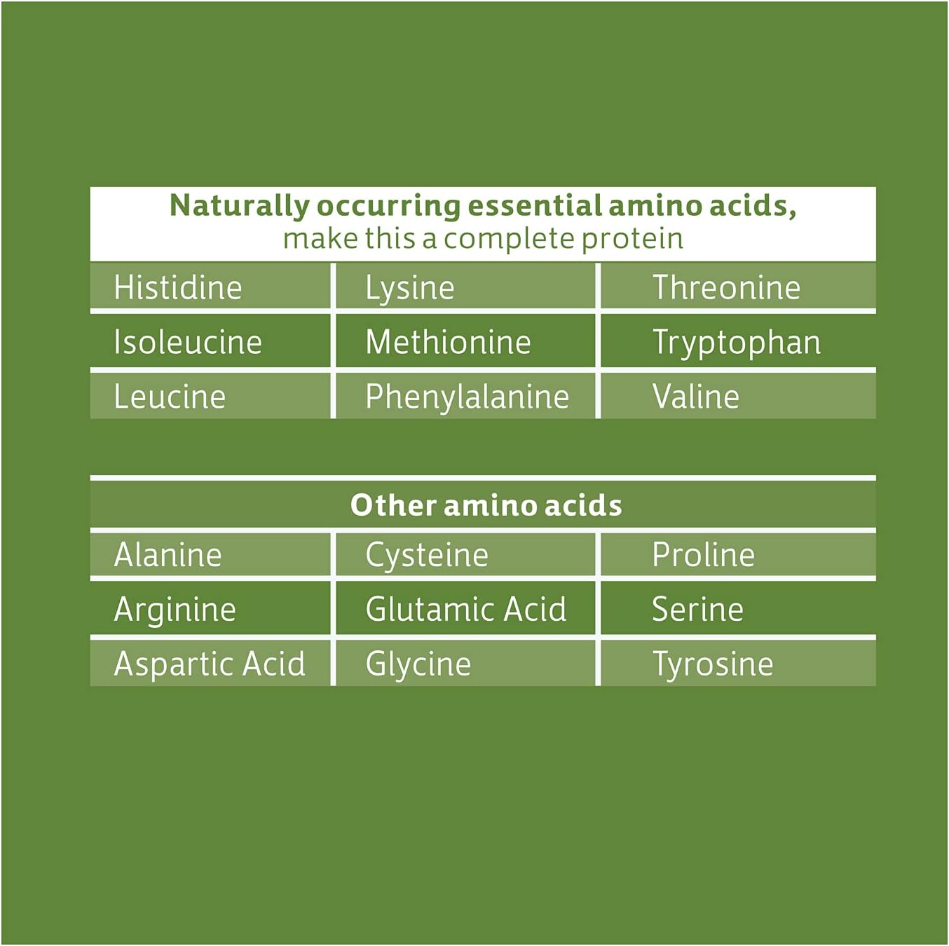 Biochem Vegan Protein Powder – 20G Plant-Based Protein With Pea, Hemp & Cranberry – Chocolate Flavor – Keto Friendly, Certified Vegan, Gluten Free, Kosher – 13.6 Oz : Health & Household