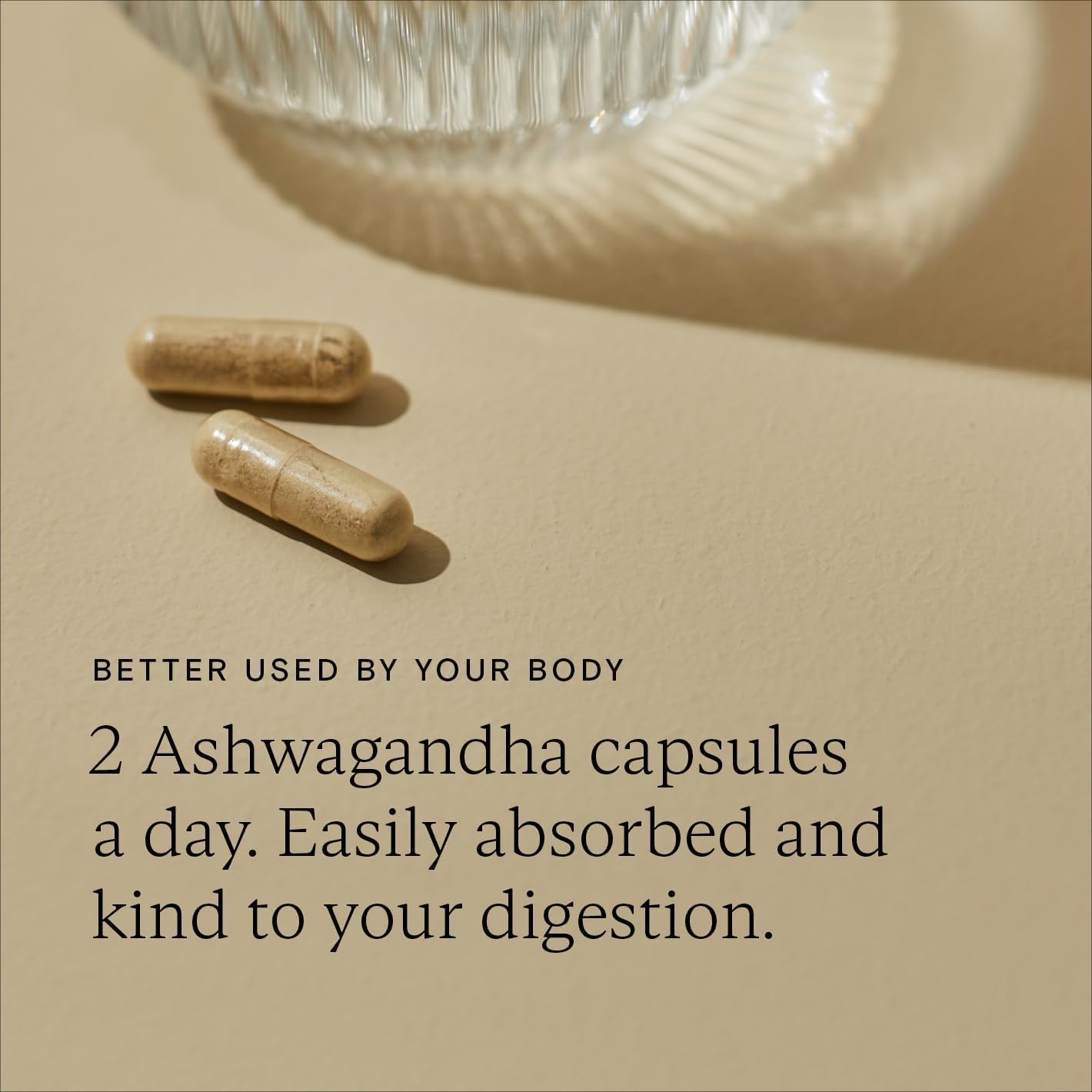 WILD NUTRITION Food-Grown® Ashwagandha KSM 66 Plus | Ethically Sourced Ashwagandha Capsules to Support Mind and Body | Tablets to Support Stress and Anxiety | 60 Capsules : Amazon.co.uk: Health & Personal Care