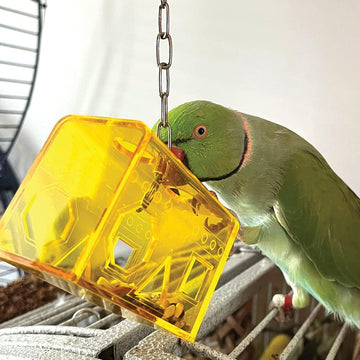 Treasure Box Foraging Parrot Toy