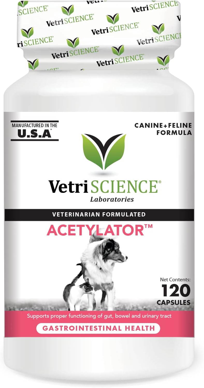VETRISCIENCE Acetylator Gut Health Supplement for Dogs and Cats, 120 Capsules - Supports Digestive, Bowel, and Urinary Tract Health