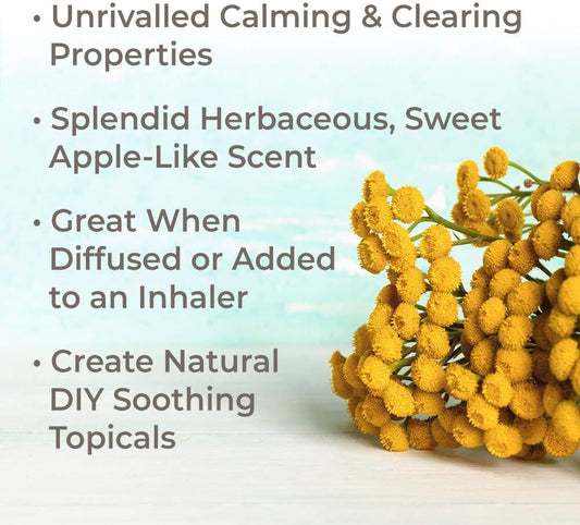 Plant Therapy Organic Blue Tansy Essential Oil 100% Pure, Undiluted, Natural Aromatherapy, Therapeutic Grade 2.5 Ml (1/12 Oz)