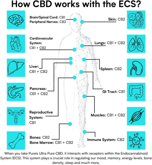 Pureis Cbd Oil, Ultra Pure, Fast Absorbing - Unflavoured Oral Drops Cbd Supplement - 280 Mg = 10 Mg Of Cbd Per Use - 0% Thc, Non-Addictive, Vegan, Gluten-Free - 10 Ml