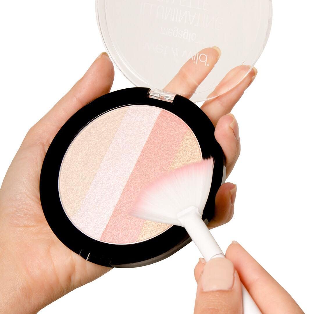 Blush Palette By Wet n Wild MegaGlo Illuminating Blush Makeup Powder Palette, Catwalk Pink, Highlighter Face Make Up : Everything Else