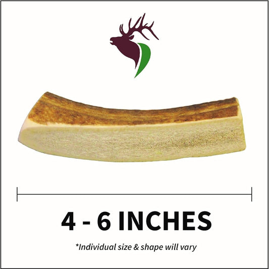 Small Split 5 Pack (for 0-20 lb Dogs and Puppies) Premium Grade Elk Antlers for Dogs (5 Pieces) Sourced in The USA