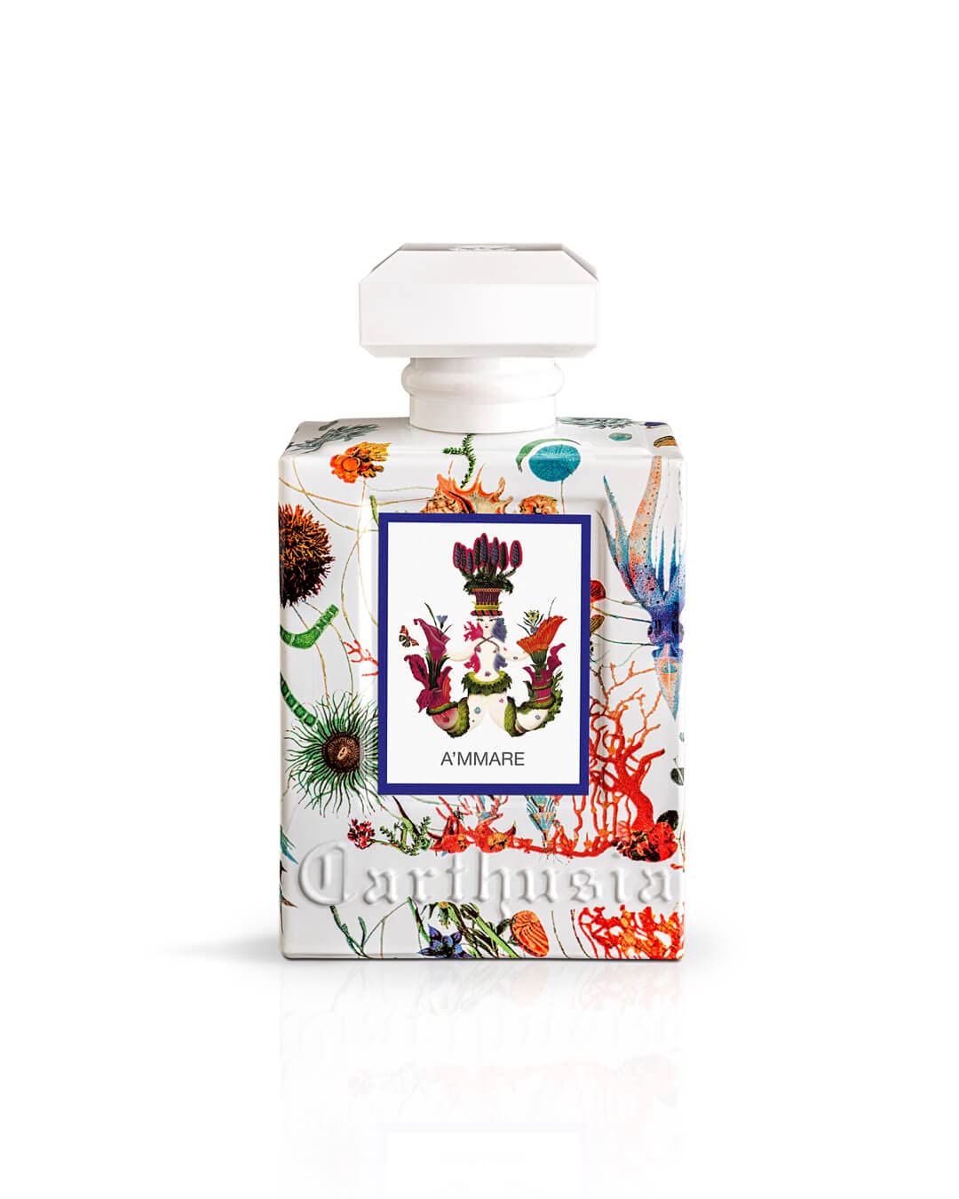 Carthusia A'Mmare Eau De Parfum 50Ml : Beauty & Personal Care