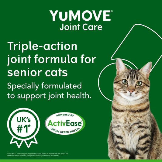 Joint Care for Senior Cats