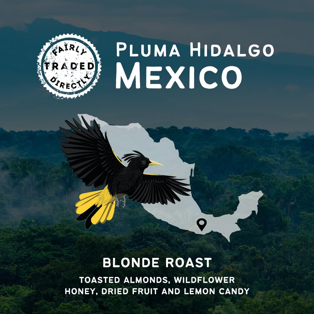 Canopy Point Coffee - Pluma Hidalgo Mexico Light Roast - Freshly Ground, Gourmet Blonde Roast, Arabica Single Origin, Specialty Small Batch Air Roasted Coffee, Mild Acidity with Toasted Almond, Honey, and and Citrus Notes, Bold not Bitter (Ground, 12oz) : Grocery & Gourmet Food