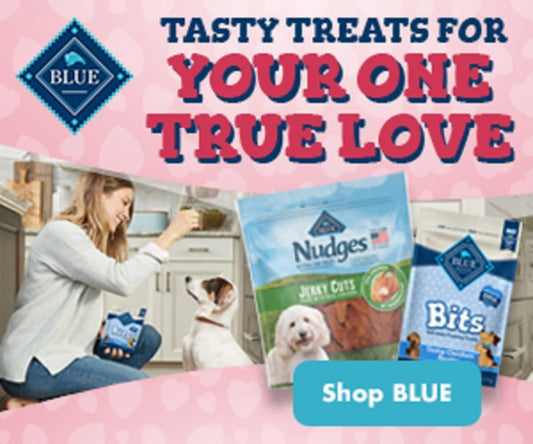 Blue Buffalo Valentines Day Dog Treats Gift Set Blue Bits Natural Soft-Moist Training Dog Treats, Beef Recipe with Chuckit! Ultra Balls : Pet Supplies