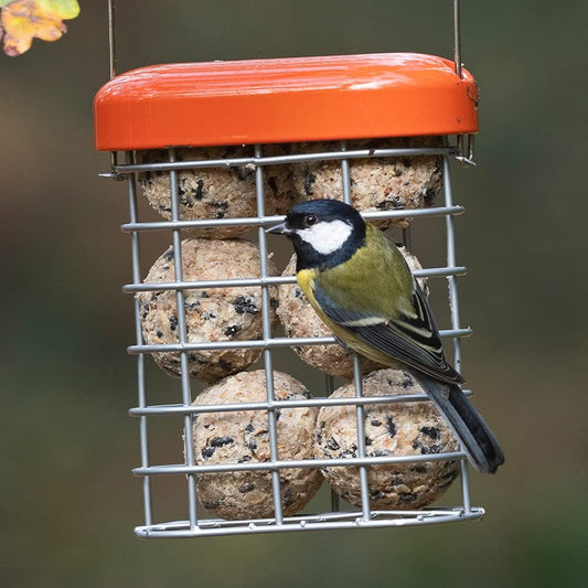 Fat Ball Hanging Bird Feeder - Jacobi Jayne® Premium Suet Feeder For Chunky Dumpling™ - All-Weather Metal Suet Ball Feeder, Green - small bird fat ball feeder?PSF-O