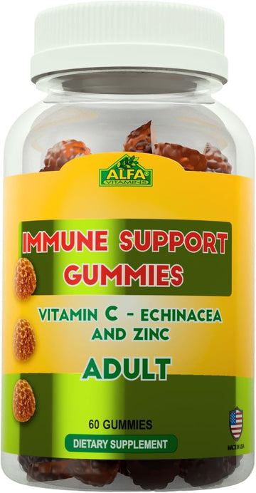 Alfa Vitamins Immune Support Gummies With Vitamin C Plus Zinc & Echinacea - Daily Immune Support Booster For Adults - Orange Flavor - 60 Gummies