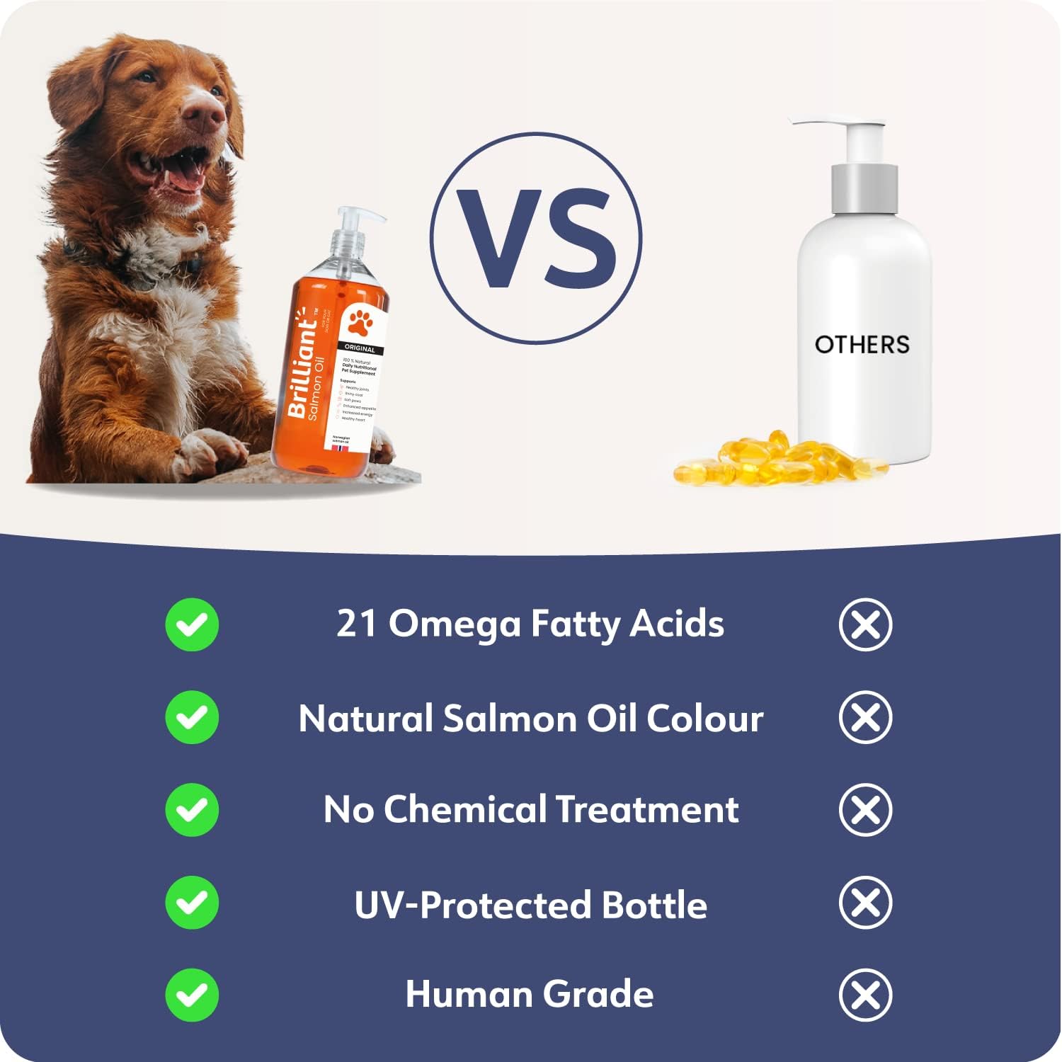 Brilliant Salmon Oil for Dogs, Cats & Puppies | Omega 3 Fish Oil Liquid Supplement with DHA, EPA Fatty Acids | Supports Skin and Coat, Immune System & Joint Function | Hofseth BioCare (34oz) : Pet Supplies