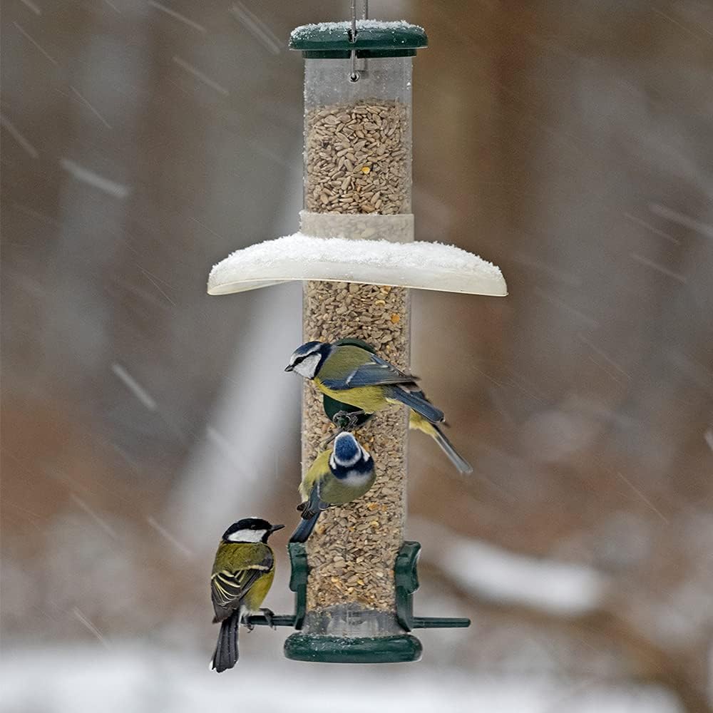 Rain Proof Bird Feeder Guard - Jacobi Jayne® Rainaway™ Bird Feeder Rain Guard - Helps keep seed dry and healthy while sheltering perched garden birds - anti rain, bird feeder weather baffle :DIY & Tools