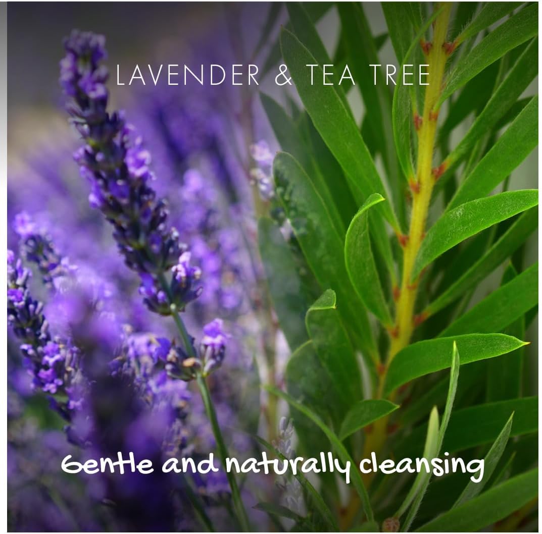Friendly Soap - Lavender & Tea Tree Conditioner Bar (90g), Nourishing, Tangle-free, Fizz Control, Smooth, Healthy Shine, Cruelty Free, Handmade, Recycled & No SLS or Parabens : Amazon.co.uk: Beauty