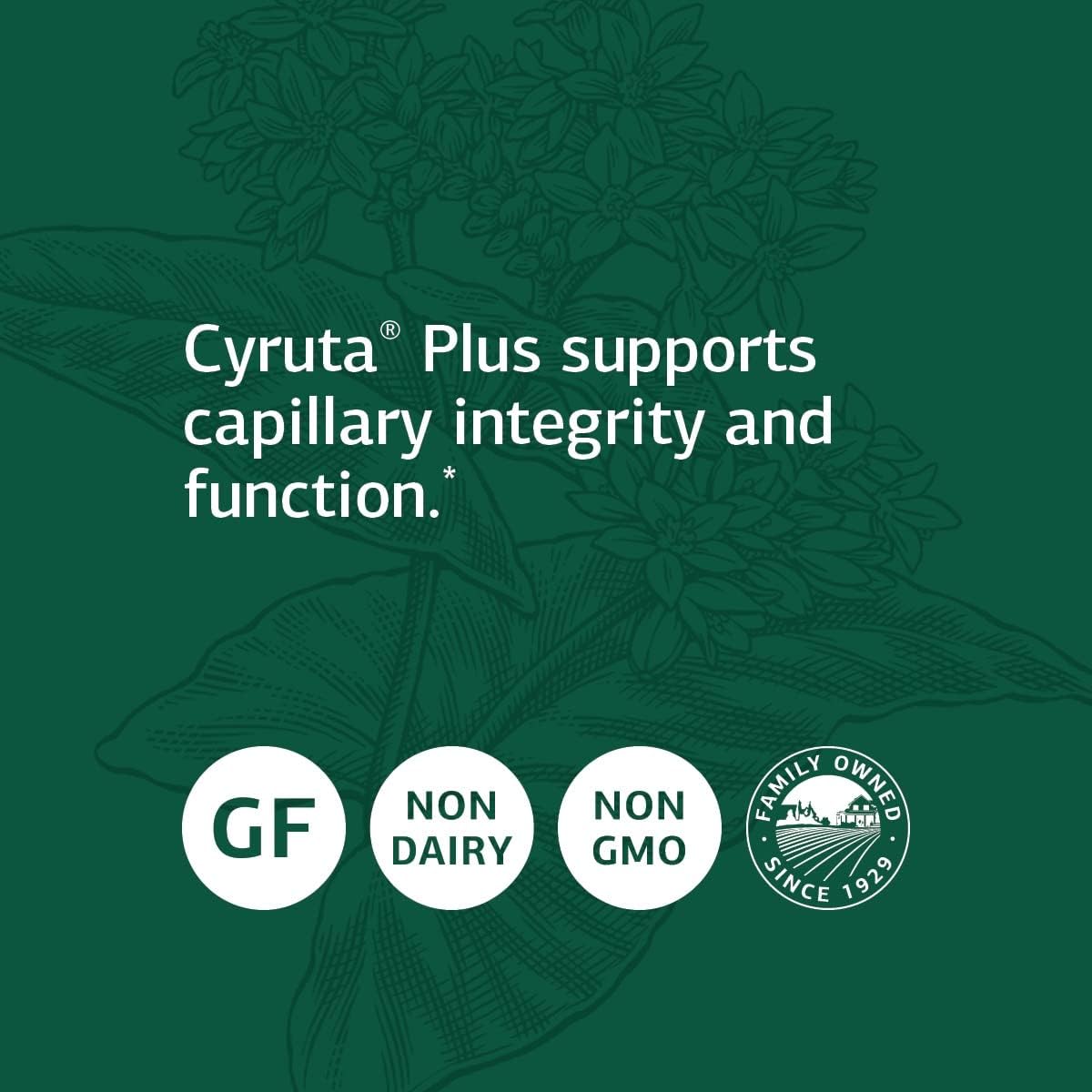 Standard Process Cyruta Plus - Whole Food Cholesterol Supplements - 360 Tablets : Health & Household