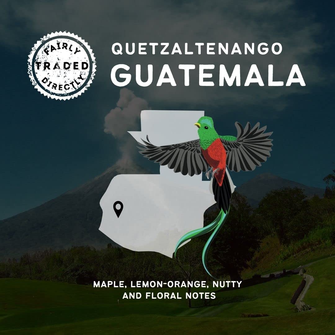 Canopy Point Coffee Guatemala medium air roasted coffee beans - whole bean & ground, specialty small batch roasted to order with maple & nut aroma, unique gourmet pour over (Whole Bean Bulk: 5lbs) : Grocery & Gourmet Food