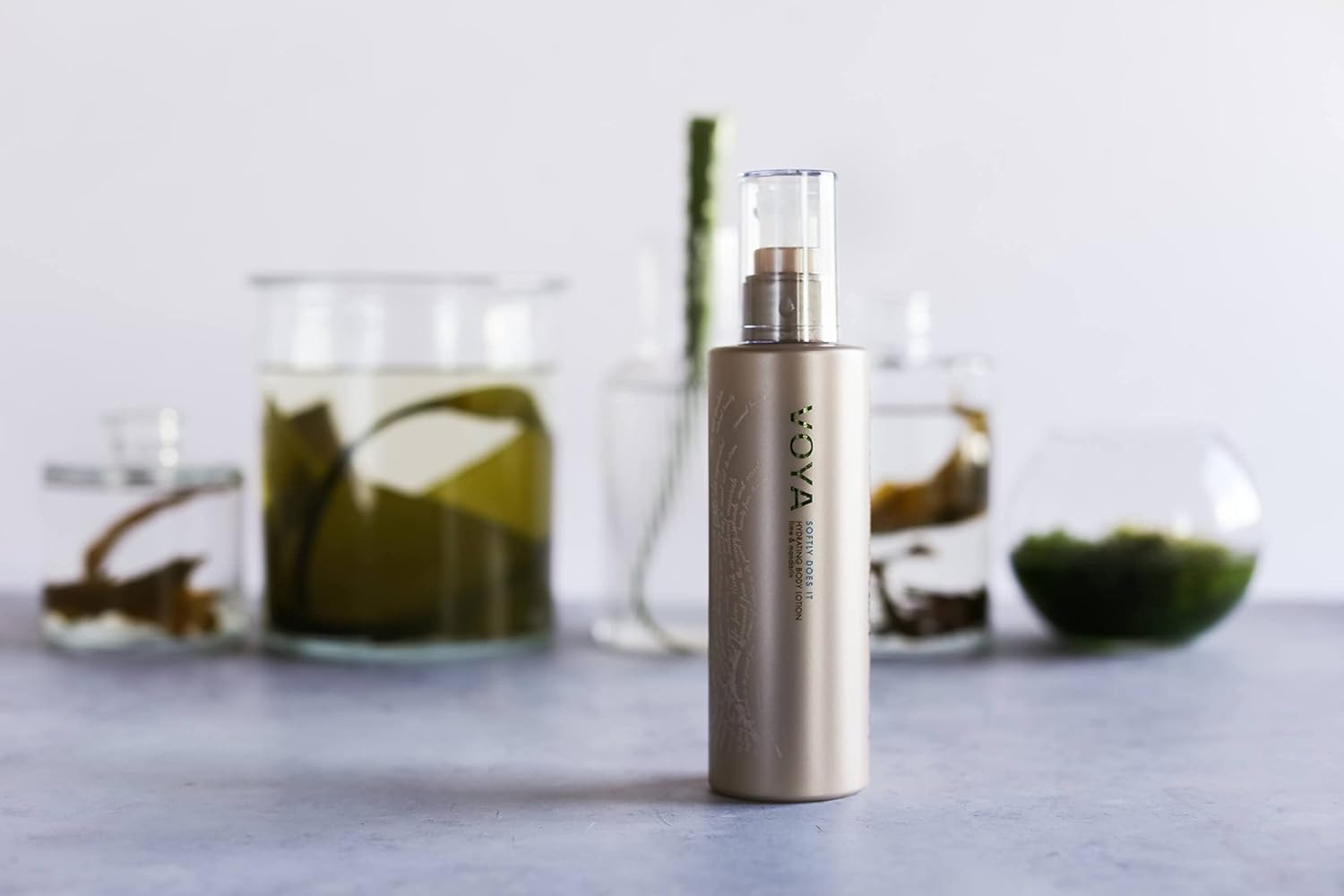 Voya Softly Does It Body Lotion, Seaweed And Plum Oil, Lime And Mandarin Scent : Beauty & Personal Care