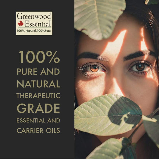 Greenwood Essential Pure Tamanu Oil (Calophyllum Inophyllum) Cold Pressed 5Ml (0.16 Oz)