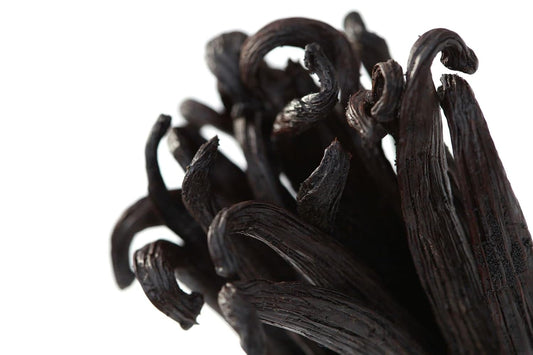 Ecuadorian Vanilla Beans Whole Grade A Vanilla Pods For Homemade Vanilla Extract, Baking, Ice Cream, Flavoring, & Vanilla Powder (10 Pack)