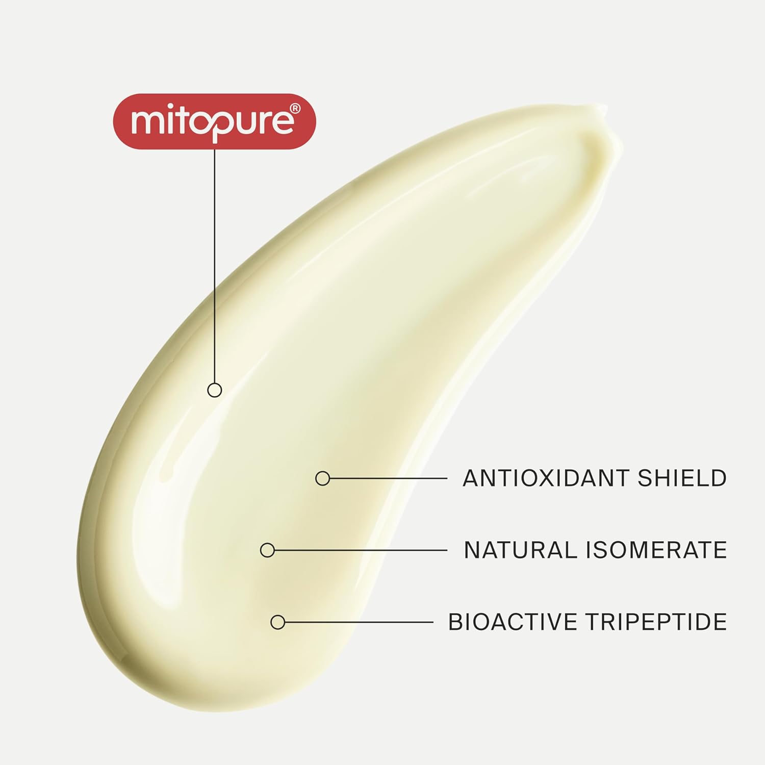 Timeline The Day Cream powered by Mitopure (Urolithin A), Healthy Aging face cream. Redensifies skin appearance, clinically proven to boost skin hydration and visually reduce wrinkles. 1.7oz (50ml) : Beauty & Personal Care