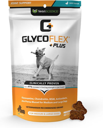VetriScience Glycoflex Plus, Clinically Proven Hip and Joint Supplement for Dogs - Advanced Dog Supplement with Glucosamine, Chondroitin, MSM, Green Lipped Mussel & DMG - 60 Chews, Duck Flavor
