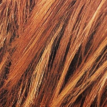 L'Oreal Paris Couleur Experte 2-Step Home Hair Color And Highlights Kit, Toasted Coconut : Chemical Hair Dyes : Beauty & Personal Care