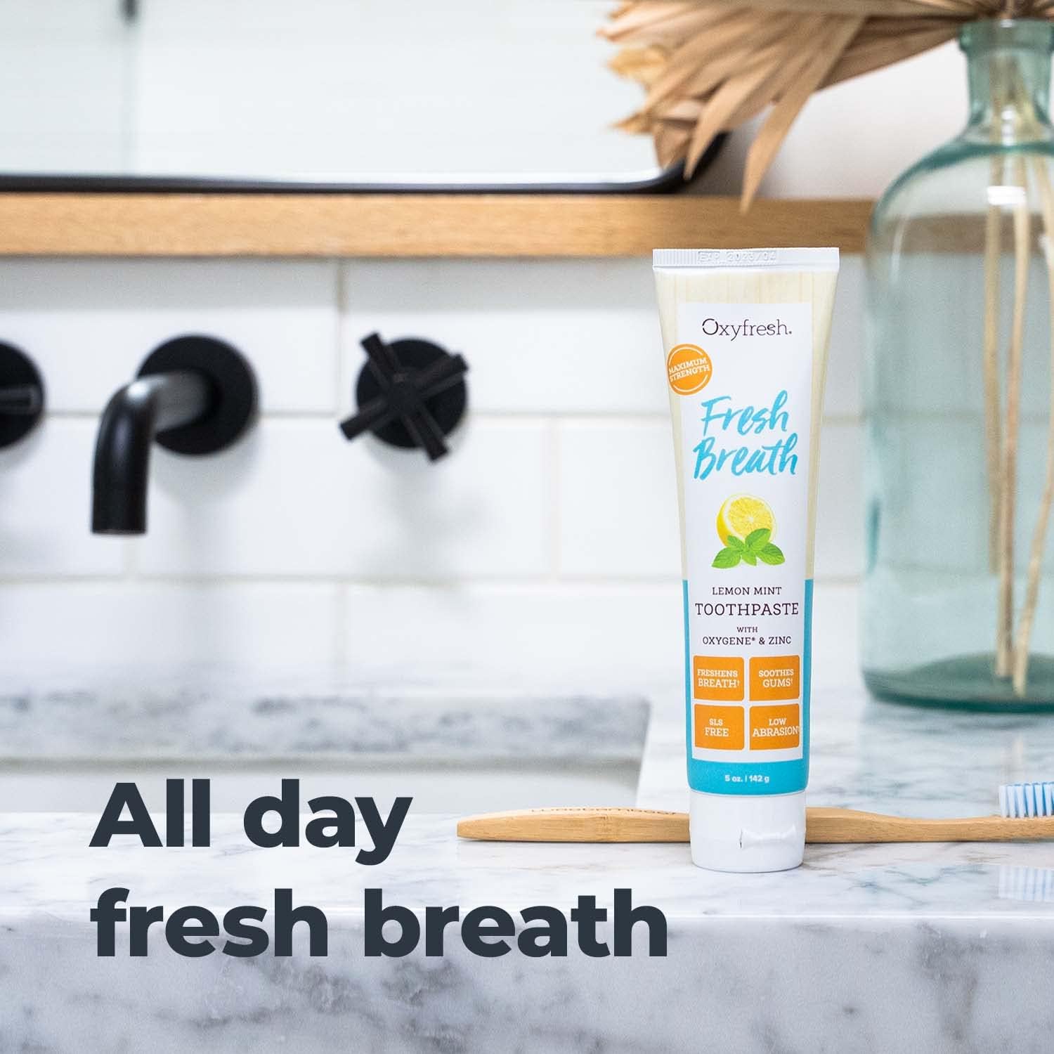 Premium Oxyfresh Maximum Fresh Breath Lemon Mint Toothpaste - Clean Teeth & Fresh Breath - Natural Essential Oils & Natural Xylitol to Help Fight Tartar - SLS & Fluoride Free, 3-5oz : Health & Household