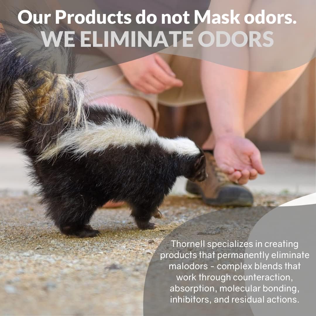 Pet Medicated Shampoos : Skunk Off Pet Shampoo – Ready to use Skunk Odor Remover for Dogs, Cats, Carpet, Car, Clothes & More – Skunk Shampoo Non-Enzymatic Formula (1 Gallon)