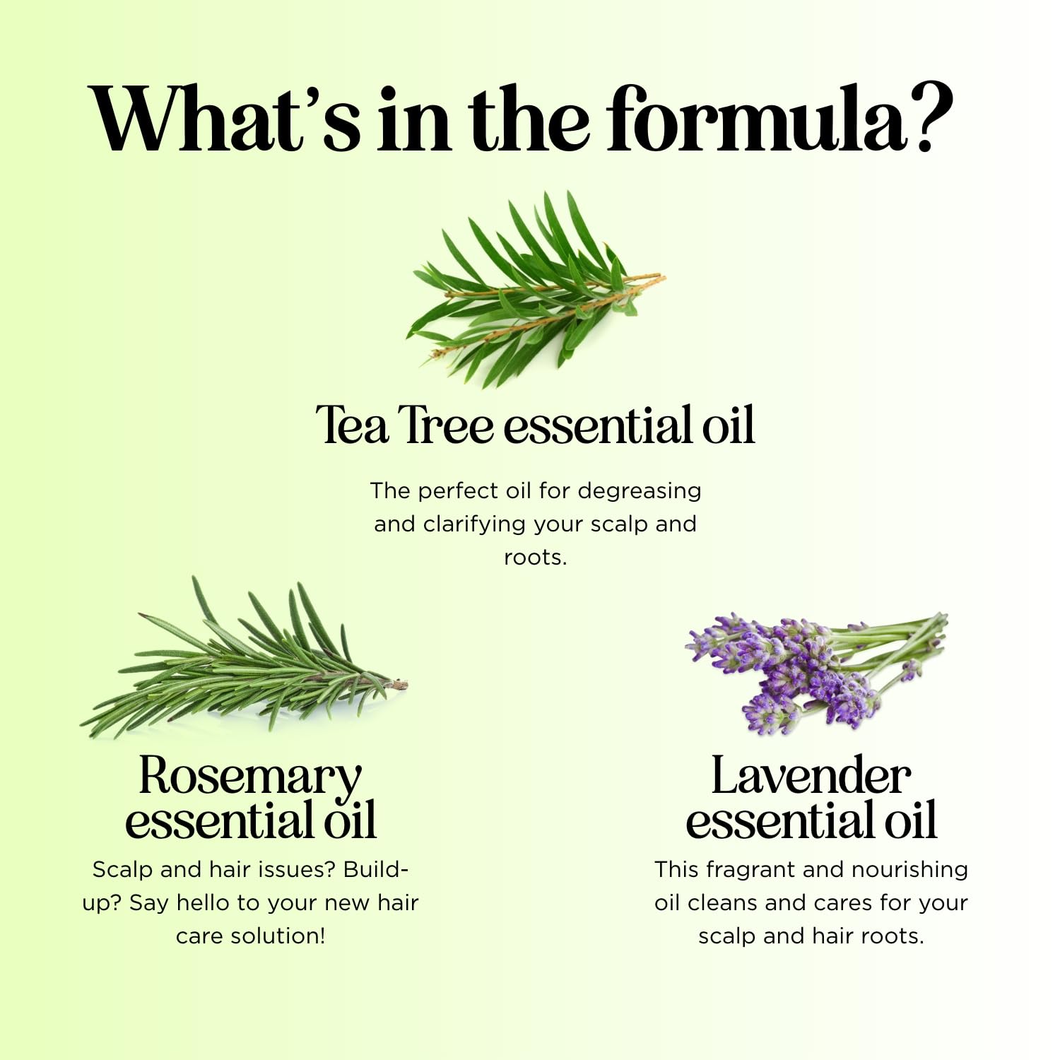 Clarifying Shampoo for Build Up & Oily Hair - Tea Tree Shampoo for Men and Women with Rosemary Essential Oil for Oily Hair and Scalp - Color Safe Vegan Sulfate Silicone & Paraben Free (8 Fl Oz) : Hair Shampoos : Beauty & Personal Care