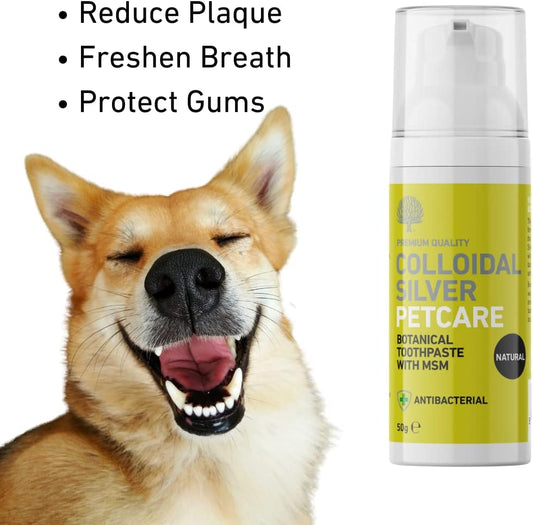 Nature'S Greatest Secret Natural Dog Toothpaste 50G With Colloidal Silver & Msm - Fresh Peppermint Flavour - Vegan & Antibacterial Formula - Supports Gum Care & Oral Hygiene - Uk Made