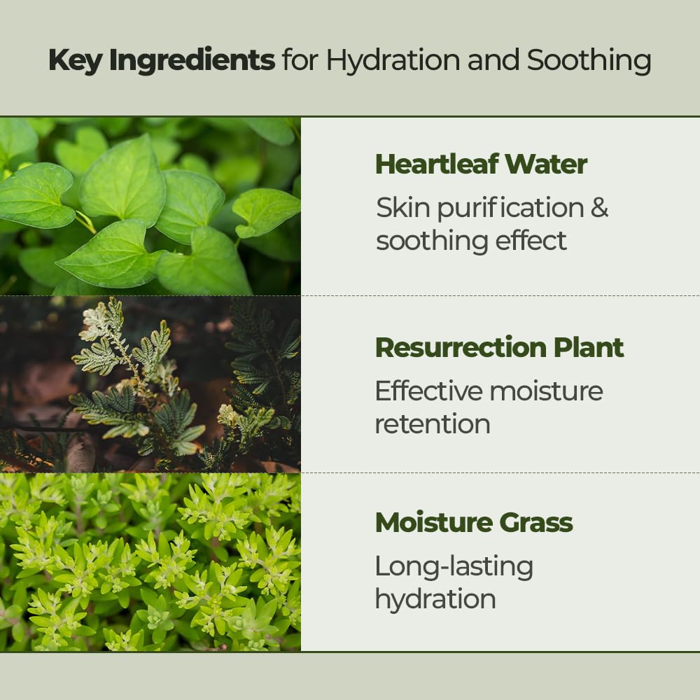 Jmsolution Heartleaf Cleansing Oil - Deep Cleansing, Heart Leaf Water, Gentle Exfoliation, Hydration And Soothing, Non-Irritating, Removes Impurities, Excess Sebum, Dead Skin Cells