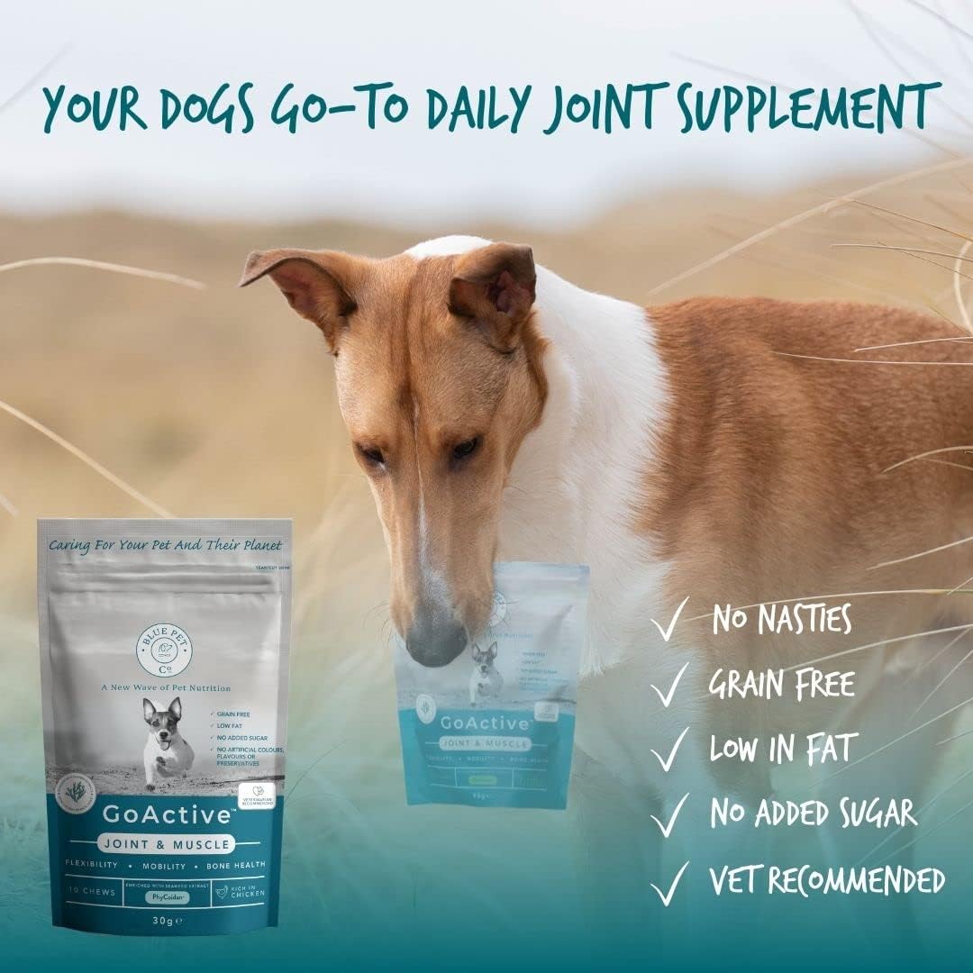 Blue Pet Co - GoActive Joint & Muscle Supplement for Dogs - Promotes Flexibility, Mobility & Bone Health - Enriched with Seaweed Extract PhyCoidan - Rich in Chicken - 10 Chews : Amazon.co.uk: Pet Supplies