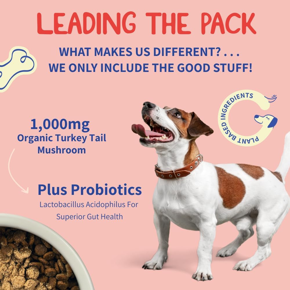 Turkey Tail Mushroom for Dogs - Turkey Tail Mushroom Powder for Dogs Guards Against Lumps & Bumps - Dog Turkey Tail Supplement - Turkey Tail for Dogs Supports Dog Gut Health Probiotics & Turkey Tail : Pet Supplies