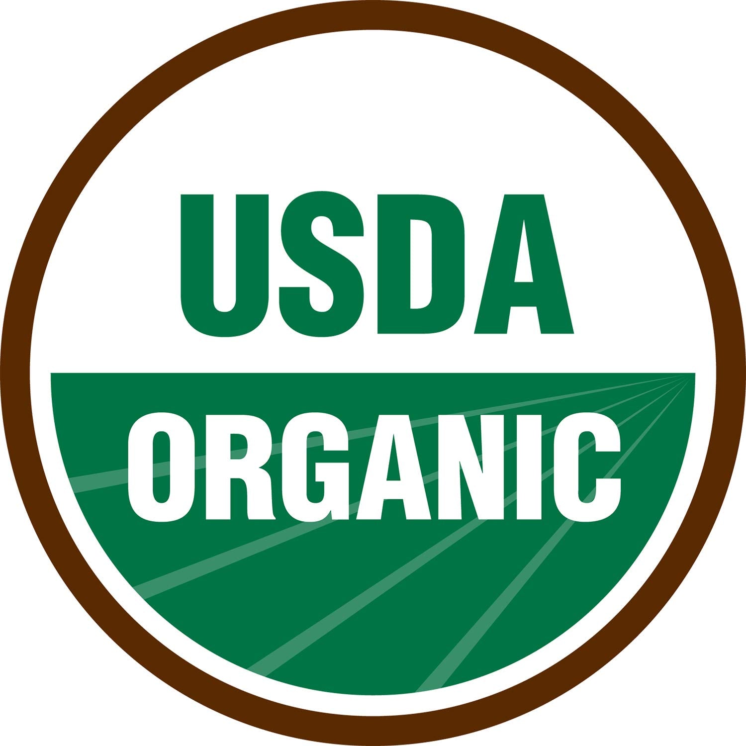 Terrasoul Superfoods Organic Black Cumin Seeds (Nigella Sativa), 1 Lb : Grocery & Gourmet Food