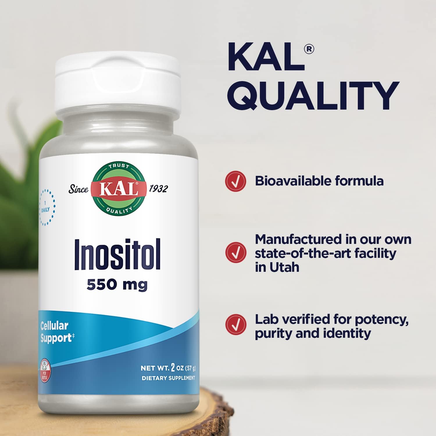 KAL Inositol Powder 550mg, Brain Health, Nervous System & Mood Support Supplement, Cellular Health Support, Enhanced Absorption Formula, Easy to Mix, Approx. 102 Servings, 2oz : Health & Household