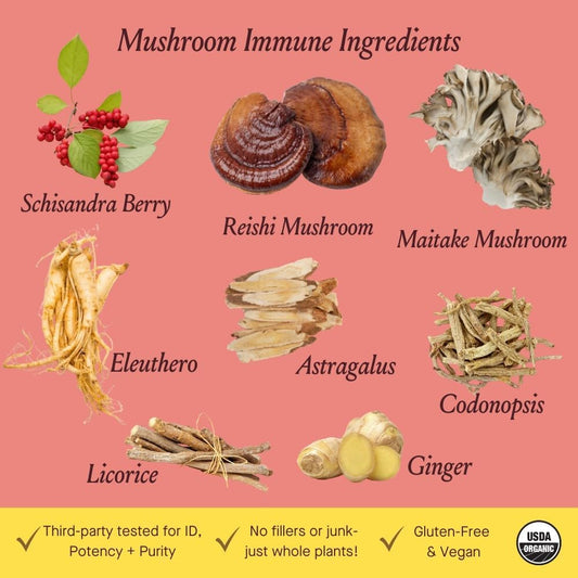 Urban Moonshine Mushroom Immune - Daily Support With Reishi & Astragalus - Long-Term Tonic For Healthy Immune System - Immune Support Supplement - Gluten Free Herbal Supplement - 8.4 Fl Oz
