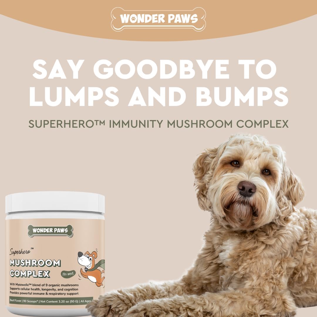 Wonder Paws Immune Support Mushroom Powder for Dogs – Organic Mushroom Complex for Immunity, Cognition, Cellular Health, Longevity - With Turkey Tail Mushroom for Dogs, Reishi & Lions Mane – 90 Scoops : Pet Supplies