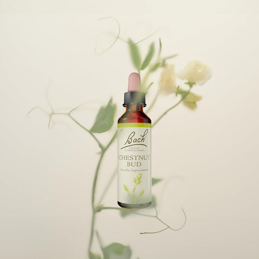 Bach Original Flower Remedies (Chestnut Bud) Live The Day, Learn From Mistakes, Emotional Wellness, Natural Flower Essence, 20Ml
