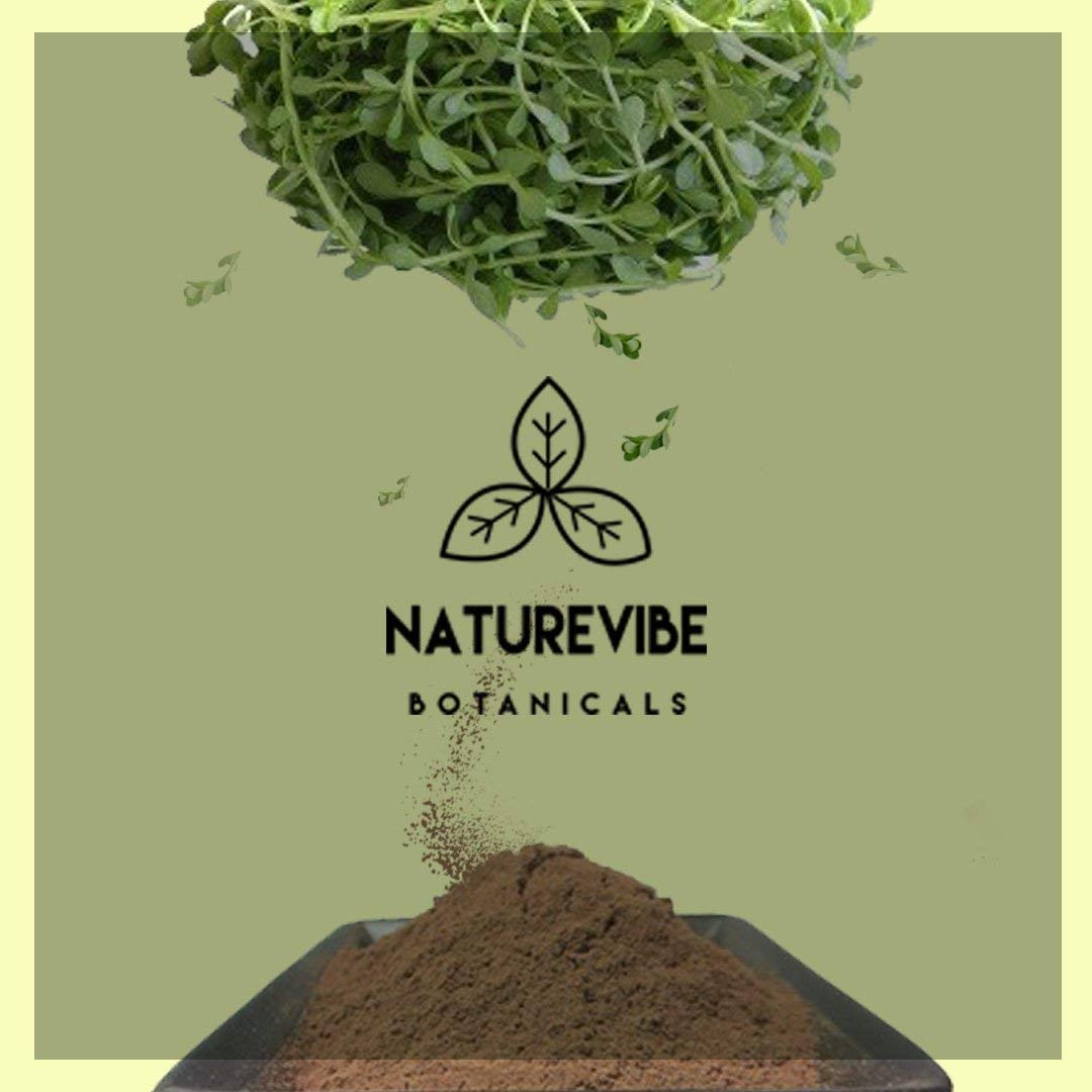 Naturevibe Botanicals Bacopa Powder 5lbs | Bacopa Monnieri | Brahmi Powder Ayurvedic Herbal Supplement Bulk Bag (80 Ounces) : Health & Household