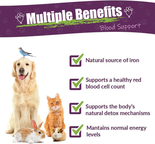 Amber Naturalz Radox Blood Support Herbal Blend For Dogs, Cats, Birds, Guinea Pigs, And Rabbits | Herbal Pet Supplement For Circulation And Iron | 4 Fluid Ounce Glass Bottle | Manufactured In The Usa