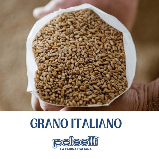 Organic Flour, Type "00", 100% Italian Grain, Double Zero Flour, Oo Extra Fine, 11 Lbs (5 Kg), Bio, Neapolitan Italian Pizza, Bread, Pasta, All Natural, Unbleached, All-Purpose Flour, Unbromated, No Additives, Polselli