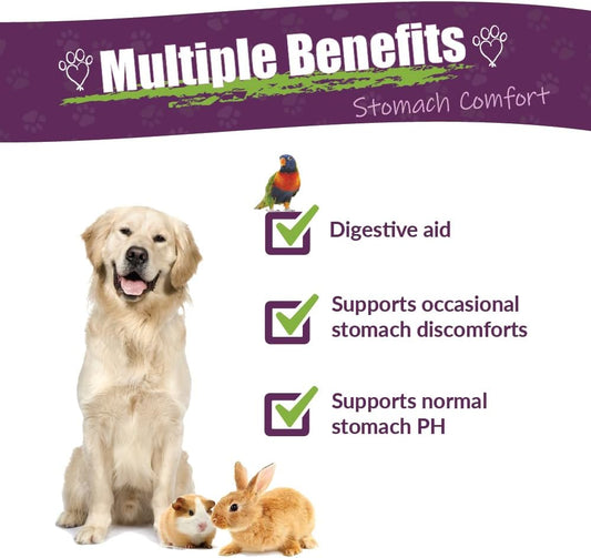 Amber Naturalz Protummy Stomach Comfort Herbal Blend For Dogs, Bird, Guinea Pigs, And Rabbits | Herbal Supplement For Occasional Upset Stomach | 4 Fluid Ounce Glass Bottle | Manufactured In The Usa