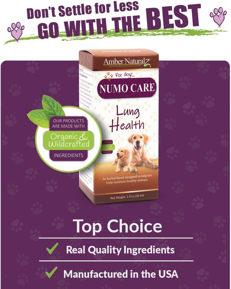 Amber Naturalz Numo Care Lung Health Herbal Supplement For Dogs | Canine Herbal Supplement For Bronchial Support And Respiratory Lung Health | 4 Fluid Ounce Glass Bottle | Manufactured In The Usa : Respiratory Herbs For Cats : Pet Supplies