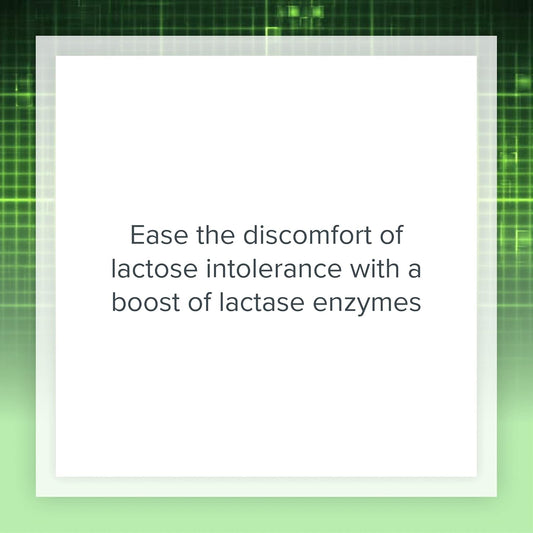 Natural Factors, Lactase Enzyme, Digestive Aid For Lactose and Dairy Intolerance, 60 Capsules