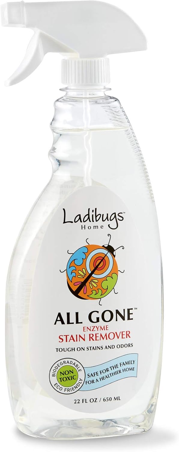 Ladibugs Natural Enzyme Stain & All Gone Spot Remover Spray, 22Oz | Eliminate Tough Stains & Odors | Non-Toxic & Biodegradable Formula