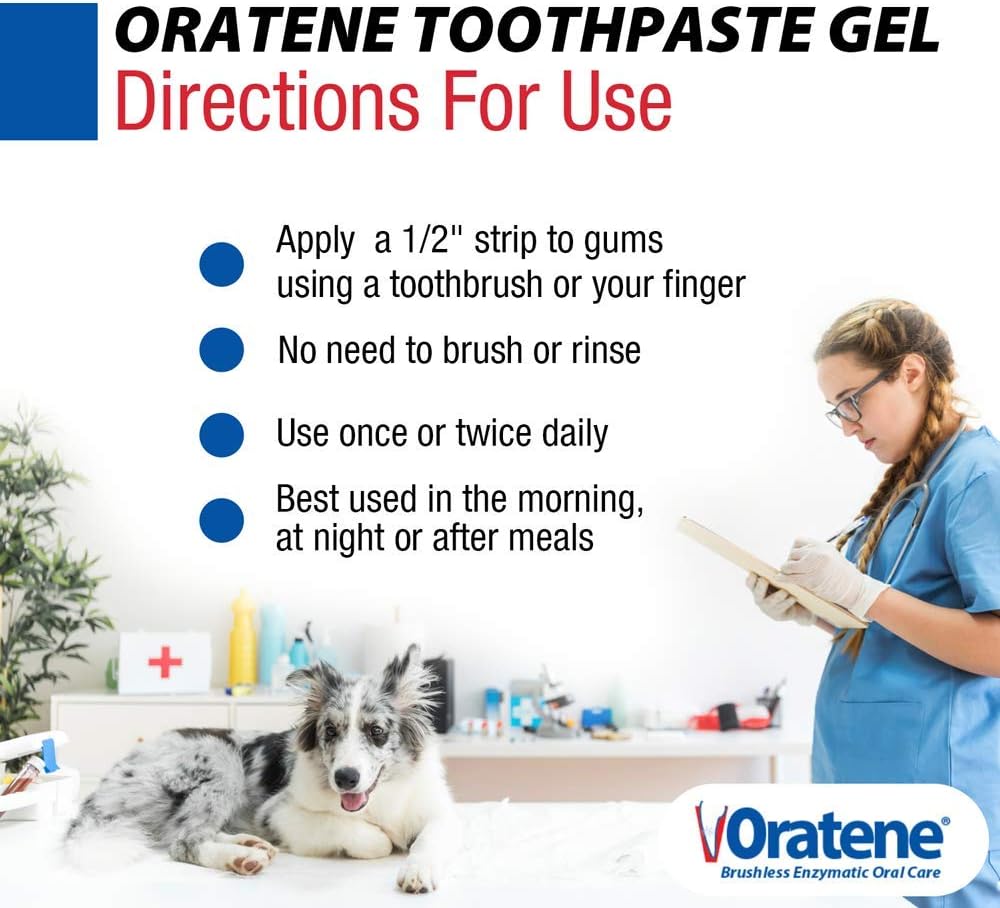 Pet King Brands ZYMOX Oratene Brushless Toothpaste Gel for Dogs and Cats, 2.5oz : Pet Dental Care Supplies : Pet Supplies