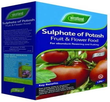 Westland 20600028 Sulphate of Potash Fruit and Flower Food, 1.5 kg :Garden