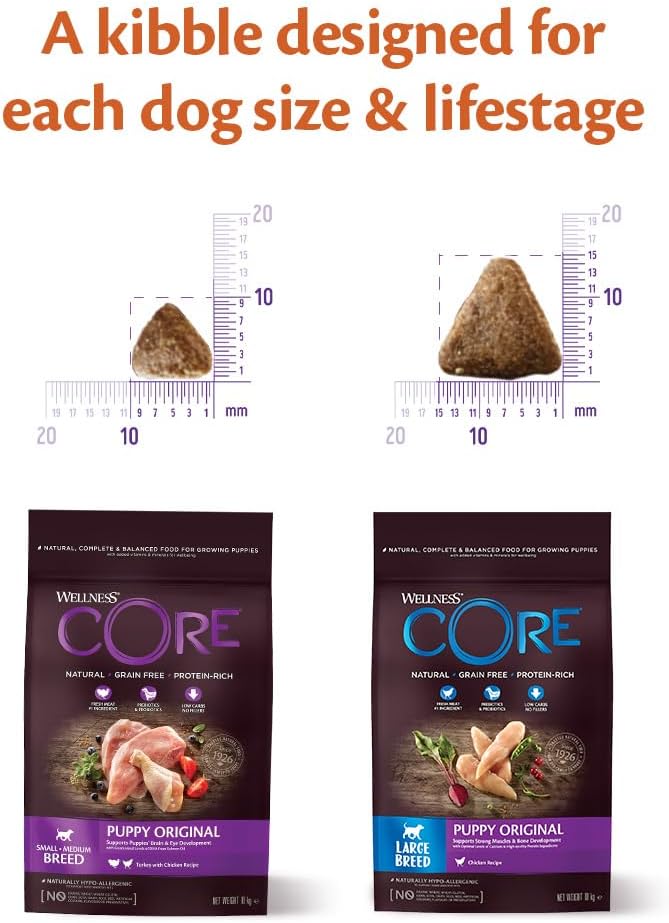 Wellness CORE Large Breed Puppy Original, Dry Puppy Food for Large Breed Puppies, Grain Free, High Meat Content, Chicken, 10 kg :Pet Supplies