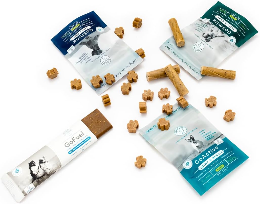 Blue Pet Co - GoFetch - 1 GoActive Chicken 10 Chew, 1 GoShine Chicken 10 Chew, 1 GoSmile Chicken 4 Sticks, 1 GoFuel Pumpkin - For Healthy Joints & Thick Coat - Removes Plaque & Bacteria :Pet Supplies